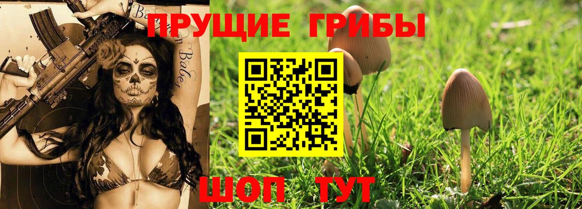 Щёлково  Галлюциногенные грибы Psilocybe  Вход с VPN  хочу   Галлюциногенные грибы мицелий 